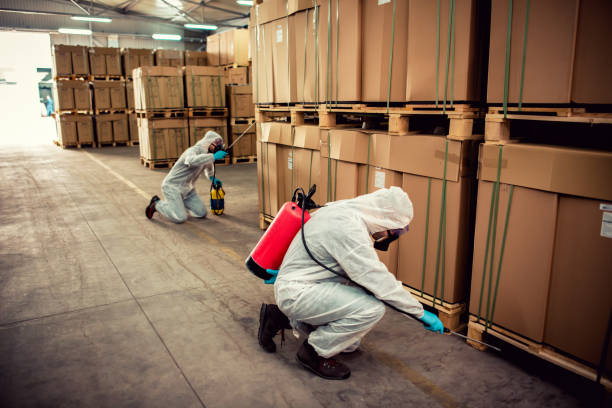 Best Local Pest Control Services  in Republic, PA