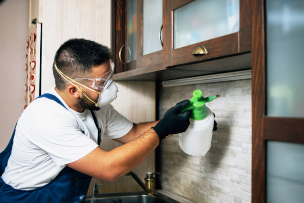 Best Residential Pest Control  in Republic, PA