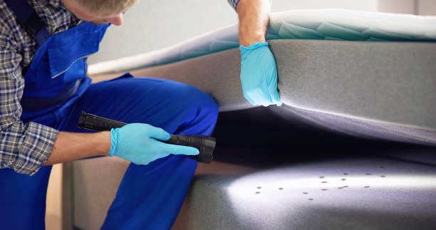 Pest Prevention Services in Republic, PA