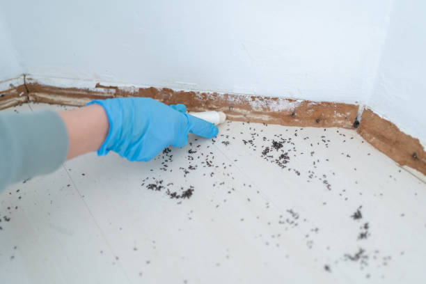 Republic, PA Pest Control Company